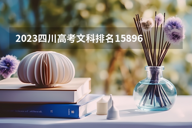 2023四川高考文科排名158965的考生报什么大学 历年录取分数线一览